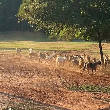 We have things to do!!!