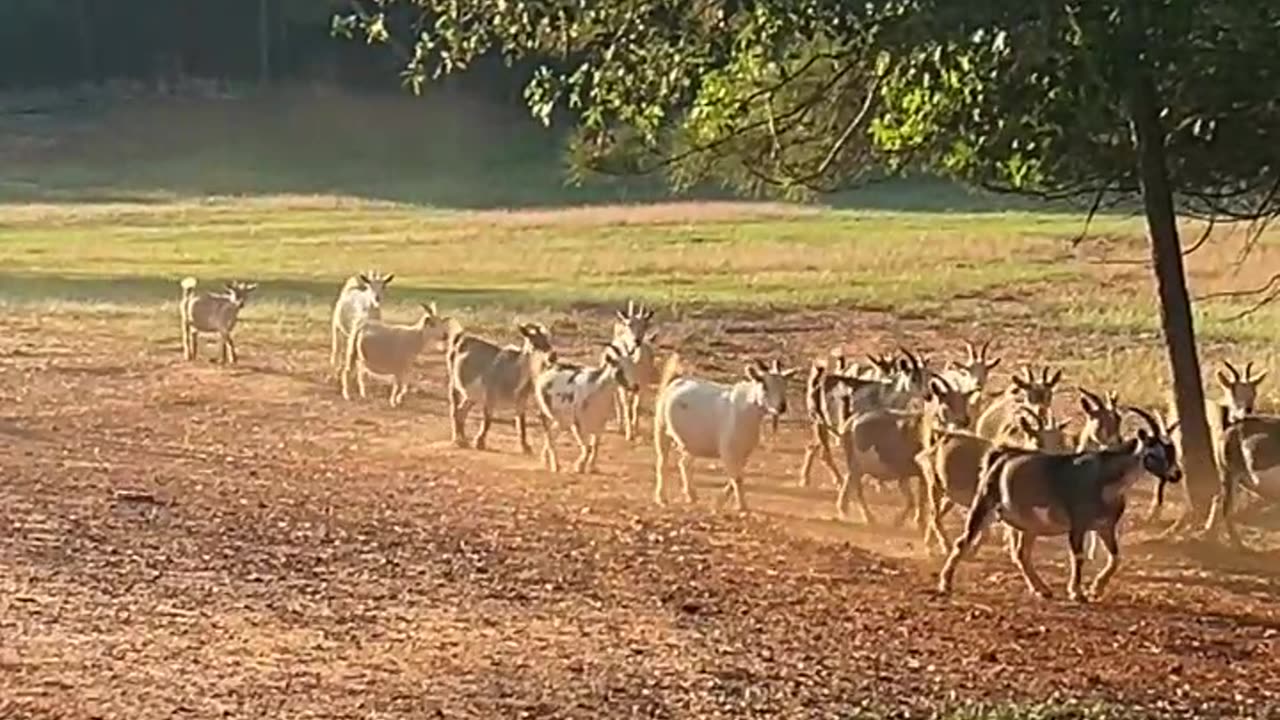 We have things to do!!!