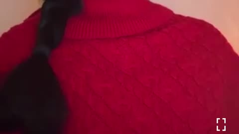 The rural Dirty South