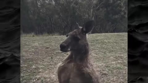 😱👻 The Scariest Paranormal Encounters! | TheHauntingHour