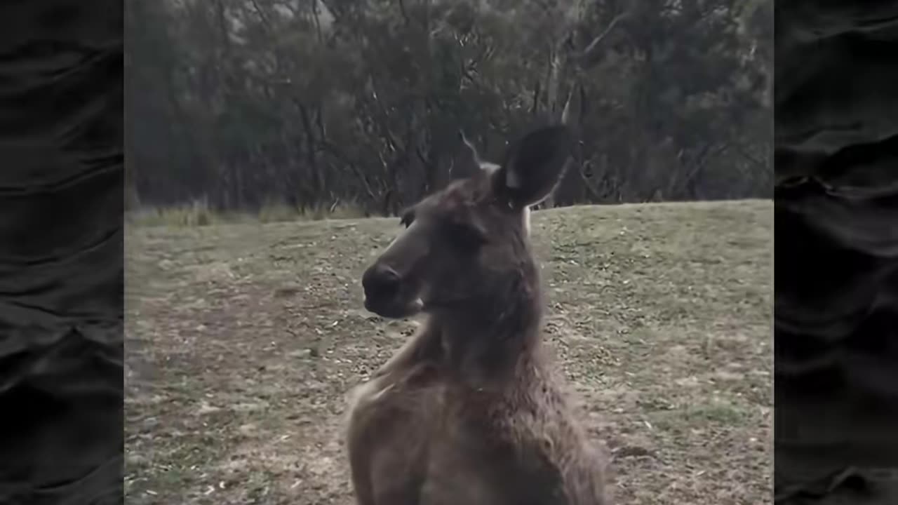 😱👻 The Scariest Paranormal Encounters! | TheHauntingHour