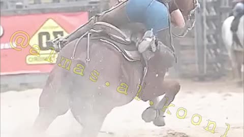 CHECK THIS OUT! Her riding skills are of the chain #alk00n