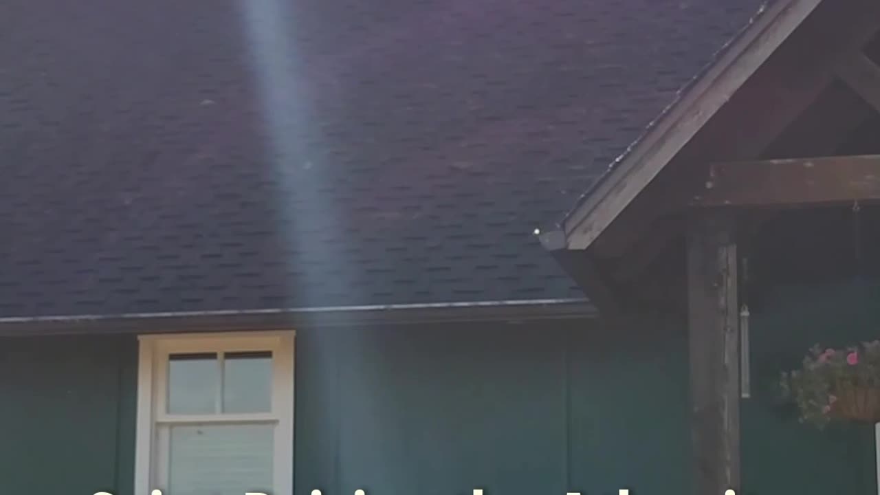 Screw Loose