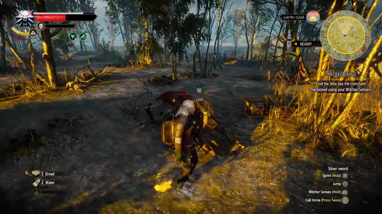 The Witcher 3: Wild Hunt - Precious Cargo