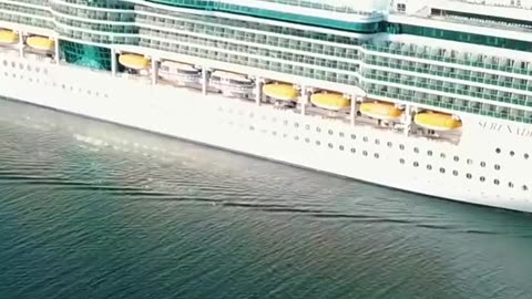 Norovirus OUTBREAK Hits Serenade of the Seas!