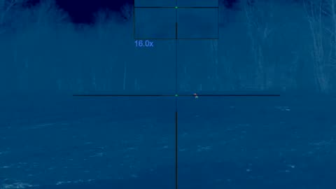 Weary Coyote Thermal Kill