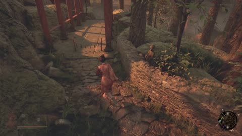 Wuchang Fallen Feathers 13