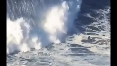 😮🌊 Sebastian Steudtner Surfs 86ft Wave! | FeedMyCuriosity