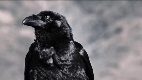 Dr James Raven presents...Practical Idealism- The Kalergi Plan to Destroy European Peoples