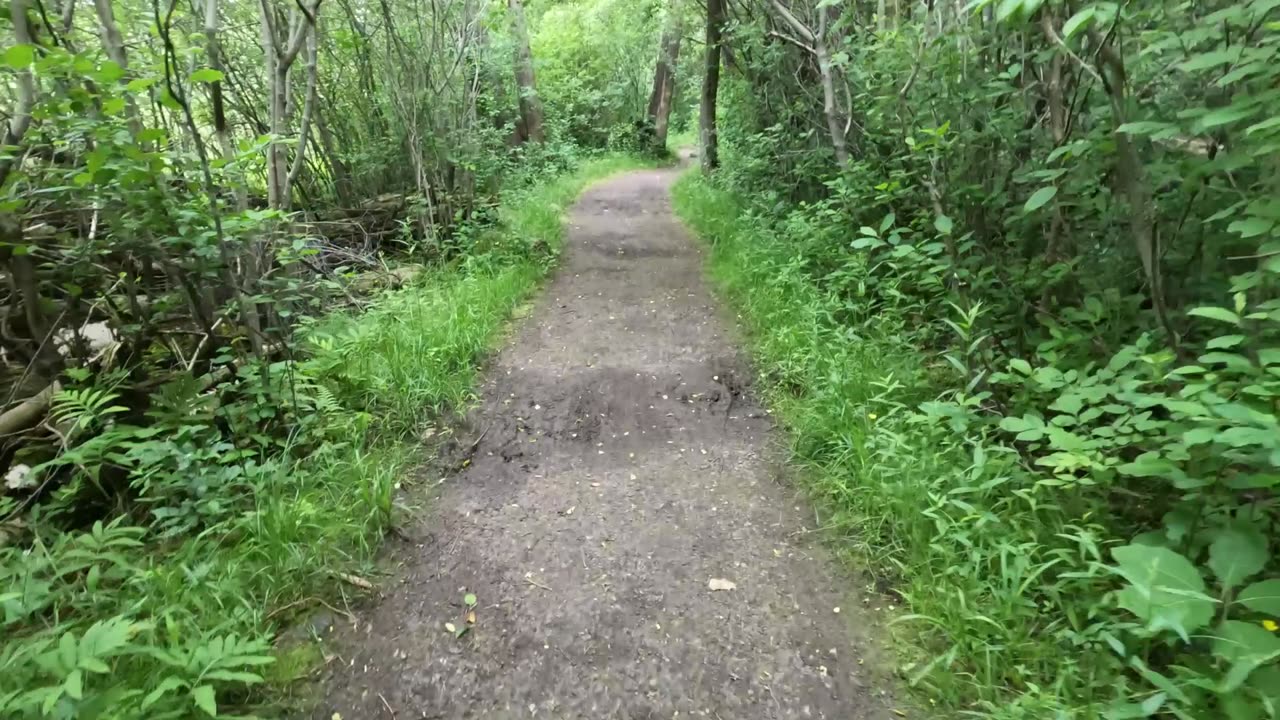 🍁2024🌴Hiking 4 Different Trails In The Greenbelt Of Ottawa & Exploring Mother Nature In 🍁🍃🍂🍀🥬🌿