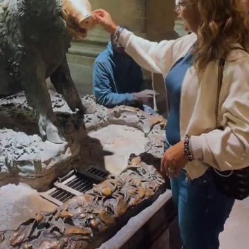 Migrant steals womans coin