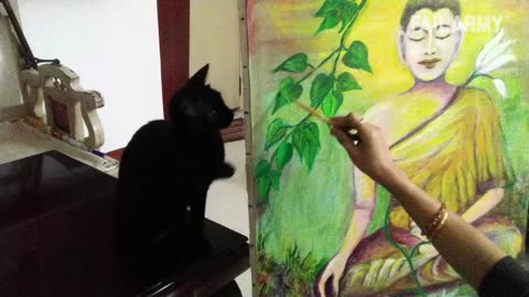 Incredible: A Cat With Infinite Rizz | Funny Cat Compilation - FailArmy