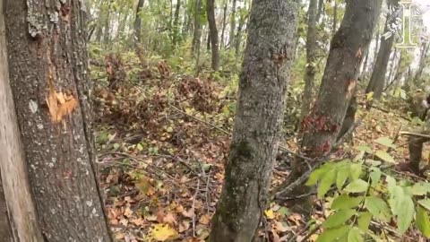 🌳🔫 Ukraine Russia War | Ukrainian SOF Regiment Engages Russian Soldiers in Close Combat, Autu… | RCF