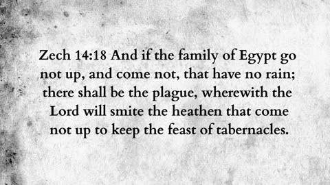 Martus Ministry -442- Ruling pagans