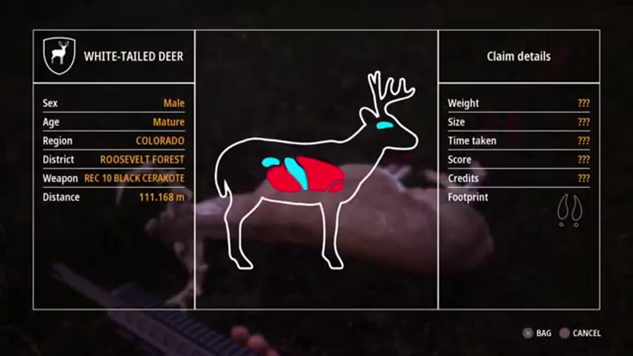 hunting Simulator Gaming games playstation 4 & 5