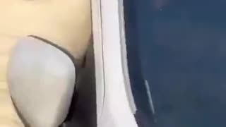 Woman and Her Husband in Ukraine Enjoying the Wonderful Ukrainian Democratic Paradise Garden