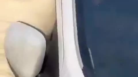 Woman and Her Husband in Ukraine Enjoying the Wonderful Ukrainian Democratic Paradise Garden