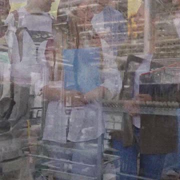 Austria Launches ‘Focus India’ Program | Low-Cost Master’s for Indian Students