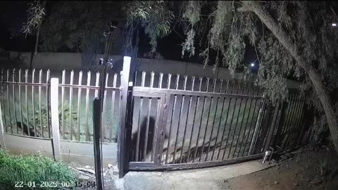 😱🛸 You Won't Believe What They Caught on Camera! Alien & Poltergeist Sightings | TheHauntingHour