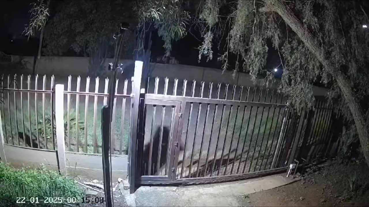 😱🛸 You Won't Believe What They Caught on Camera! Alien & Poltergeist Sightings | TheHauntingHour