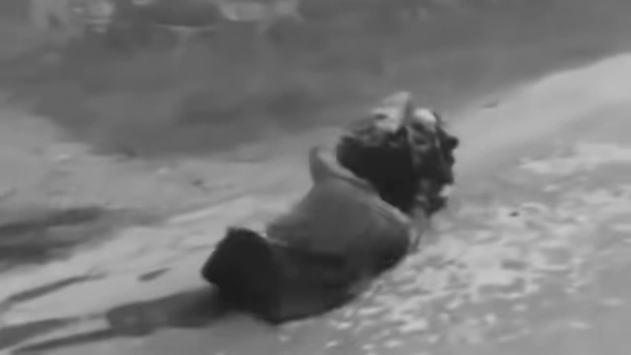 🤫👻 What Is That? Unsettling Paranormal Mystery Revealed | TheHauntingHour