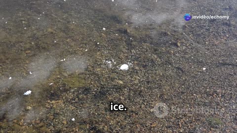 Discover the Magic of Lake Abraham's Frozen Bubbles! #travel #explore #history