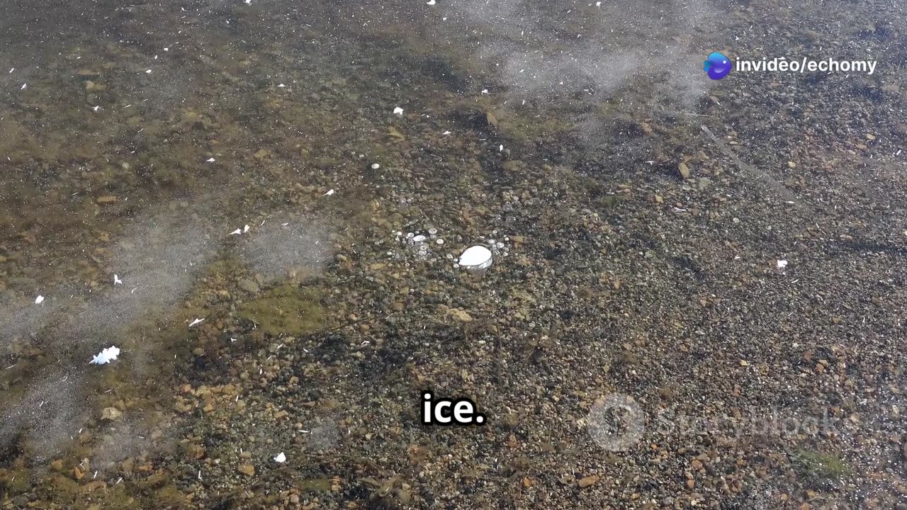 Discover the Magic of Lake Abraham's Frozen Bubbles! #travel #explore #history