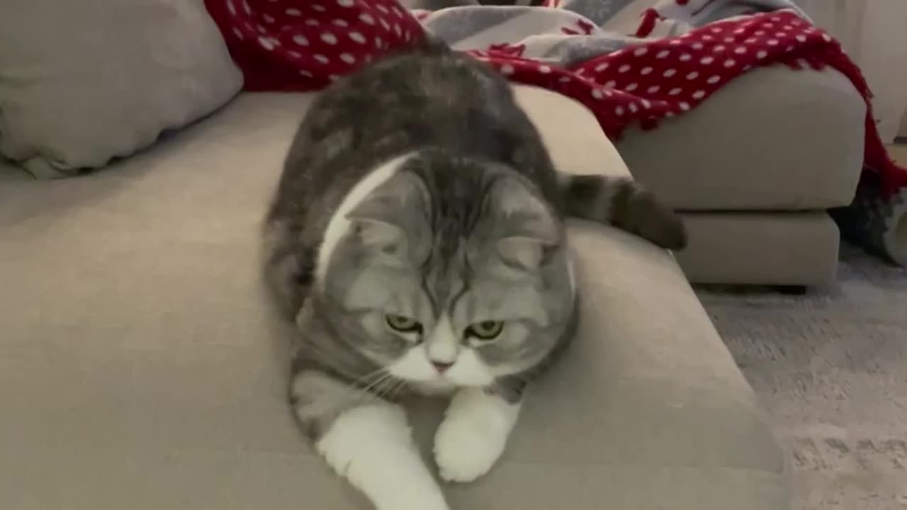 Test Premium Only video