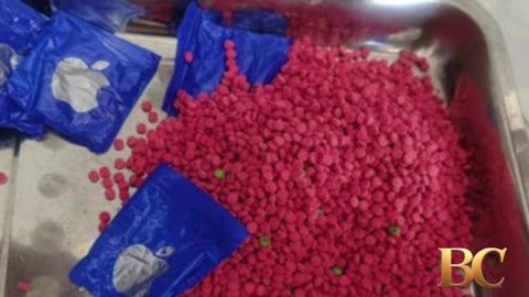 Europol busts Europe-wide drug ring in ‘largest-ever’ operation