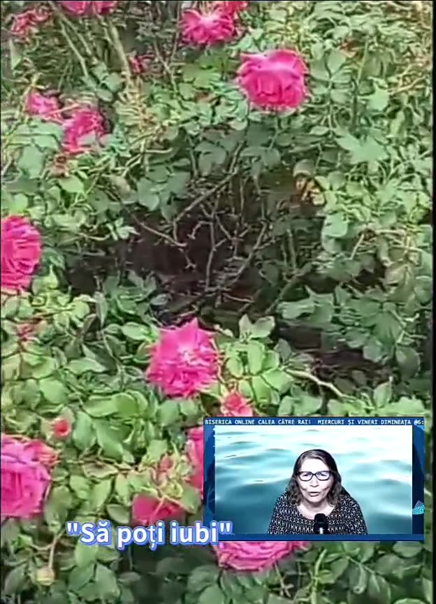 OLTEA HOZAN -SĂ POȚI IUBI- Autor Alexandra Raneta #caleacătrerai #poetry #editor Valentin Trif