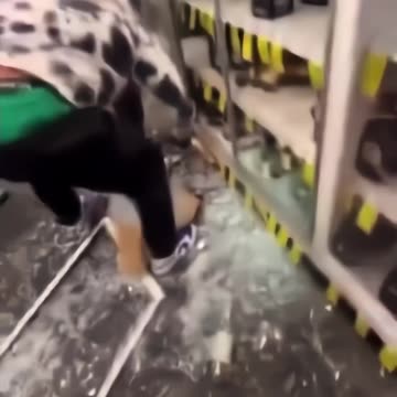 Diversity loots, destroys high trust society