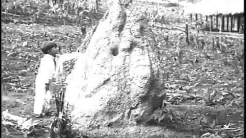 Ford Brazil - Ford Brazil - fc-fc-3082