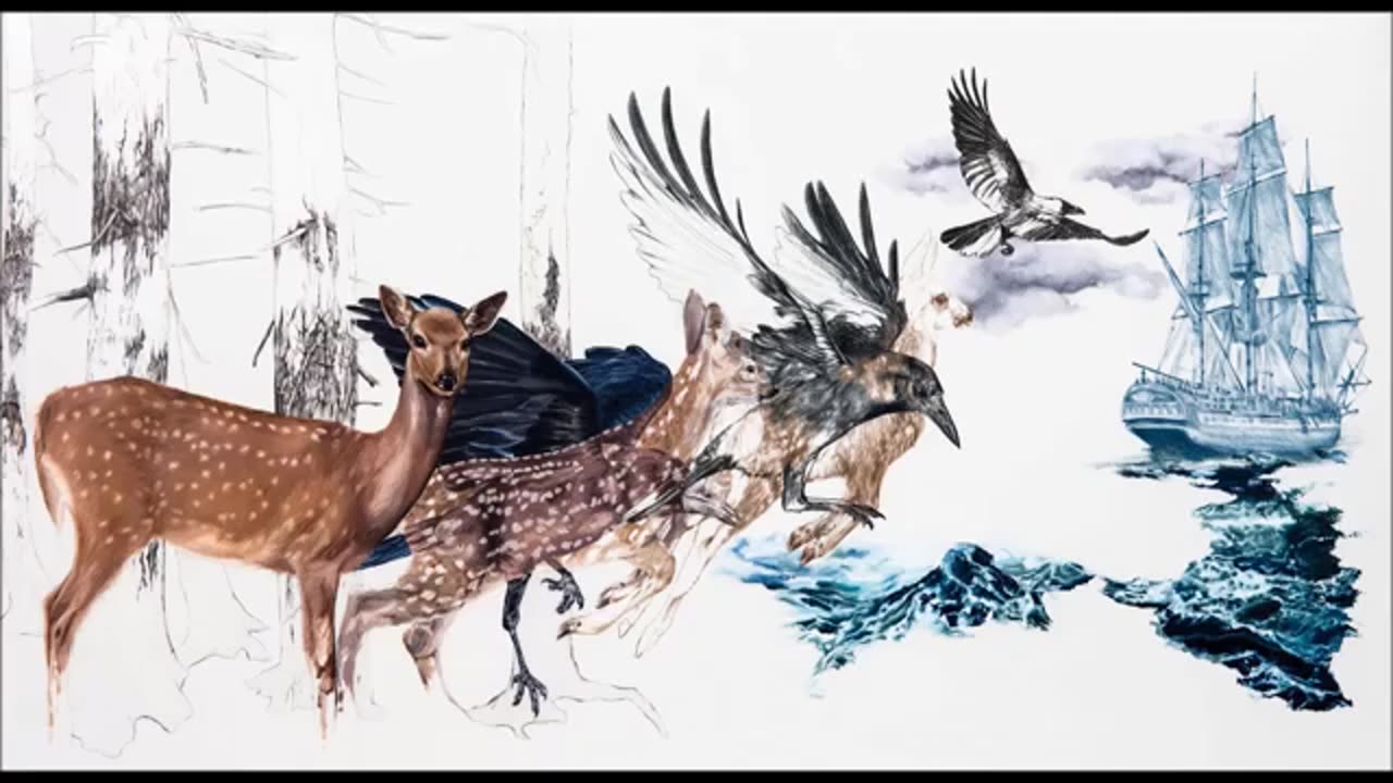 DO MAKE SAY THINK - Stubborn Persistent Illusions