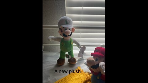 Mickey gave us a Mario plush