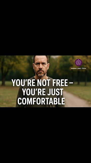 You’re Not Free — You’re Just Comfortable