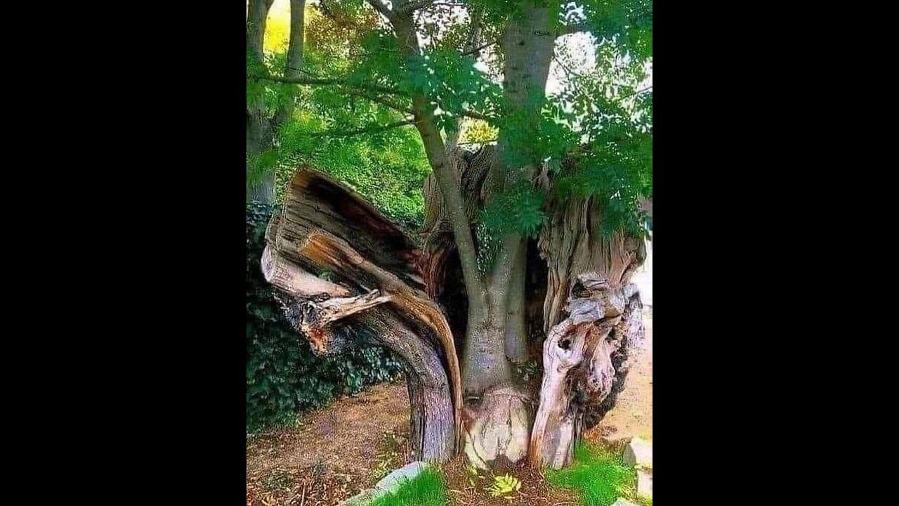 Topology is a branch of mathematics that explores the properties of,