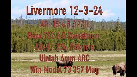 Livermore 24-12-3