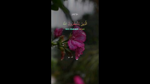 🔥 Surah Aal-Imran 3:191 🌿💫 #Quran #shorts #viral #love #youtubeshorts #trending #short