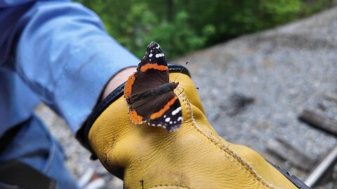 The Blessing Of The Lord Descended Like A Butterfly, This is My Servant, With Him I Am Well Pleased