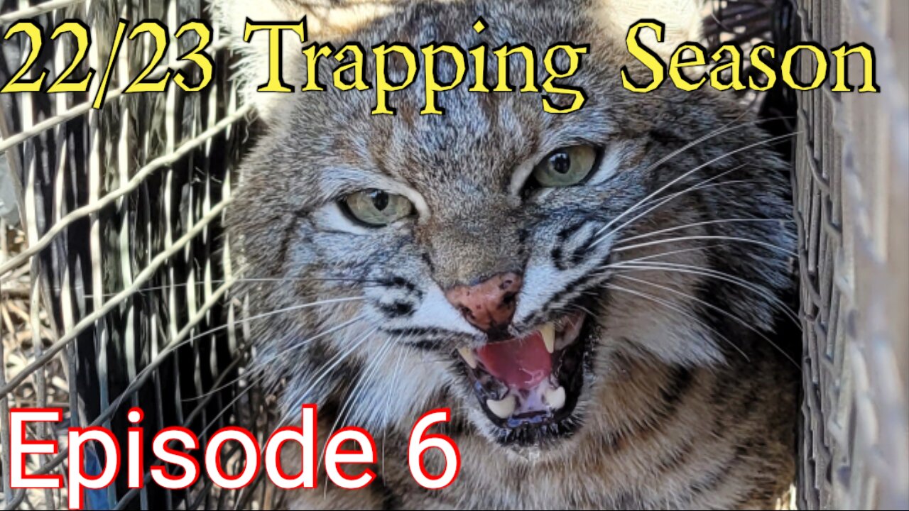 22/23 Trapping Season! Episode 6