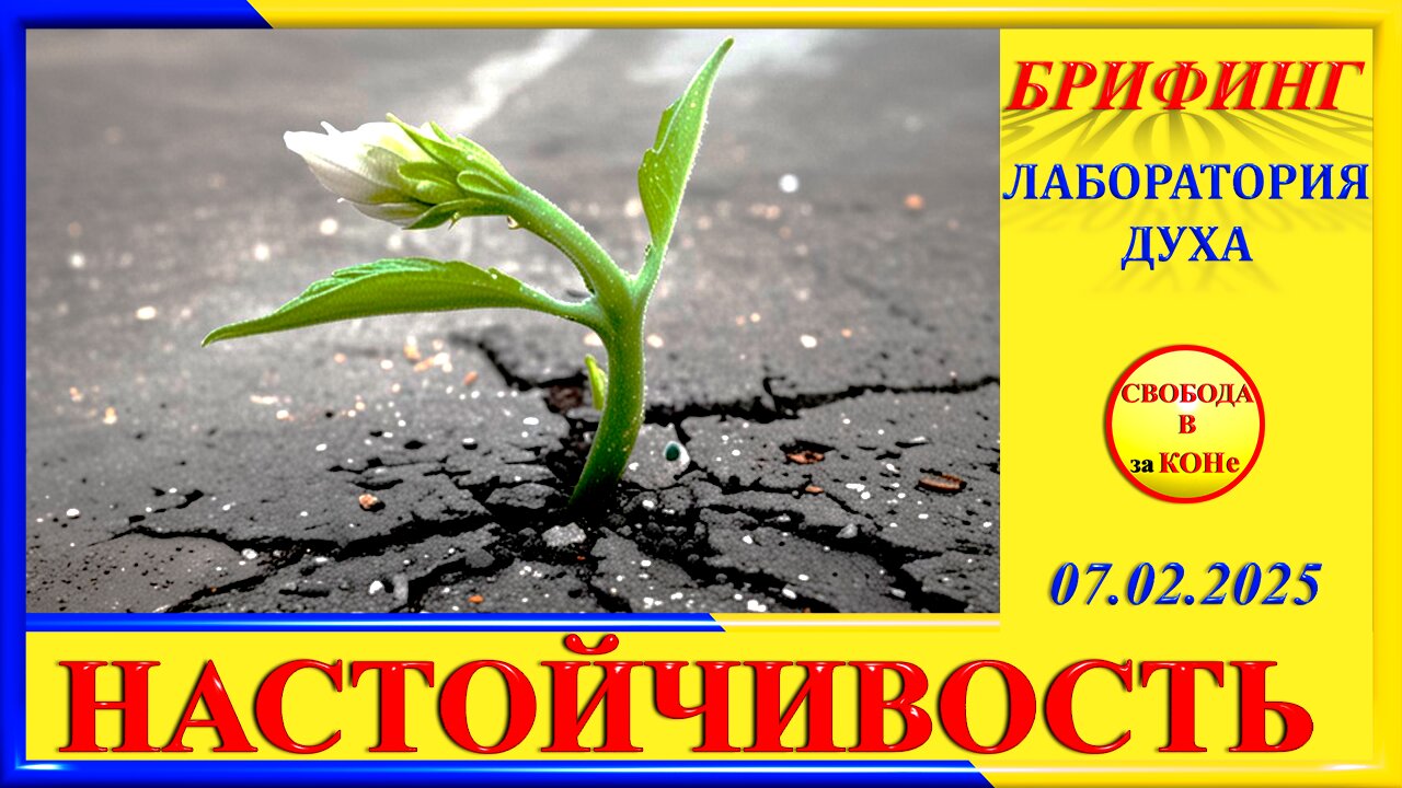 БРИФИНГ-НАСТОЙЧИВОСТЬ -ЛАБОРАТОРИЯ ДУХА