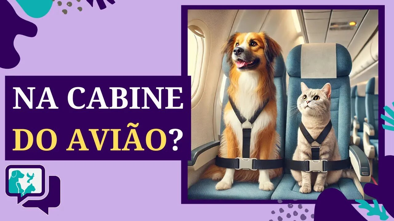 LEVAR ANIMAIS NO AVIÃO: O Que Muda com a Nova Lei de SP?