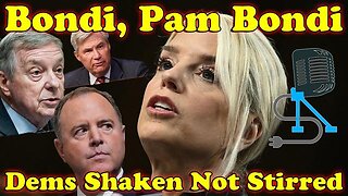 Pam Attacks In Senate _ On The Fringe