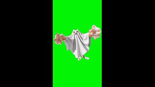 Spooky Blegh Cat | Green Screen #cats #halloween #gato #catmeme #fyp Original video by @cleecloomou
