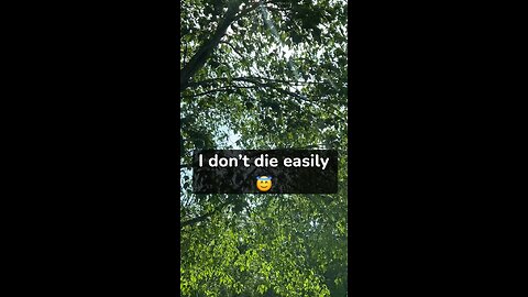 I don’t die easily 😇