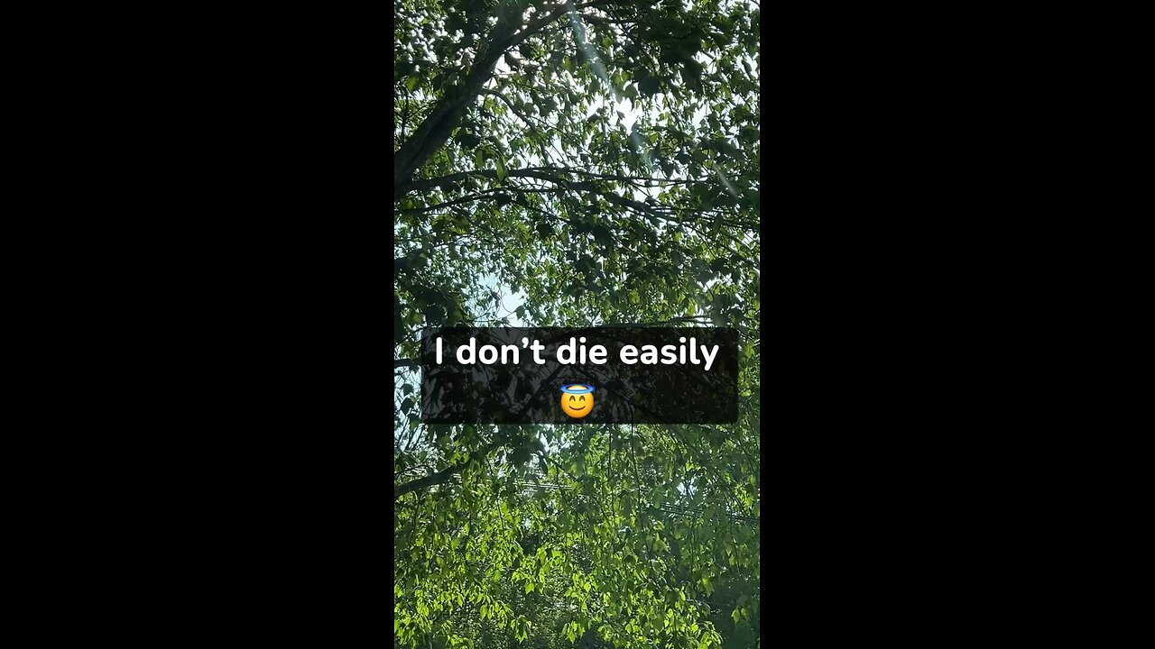 I don’t die easily 😇