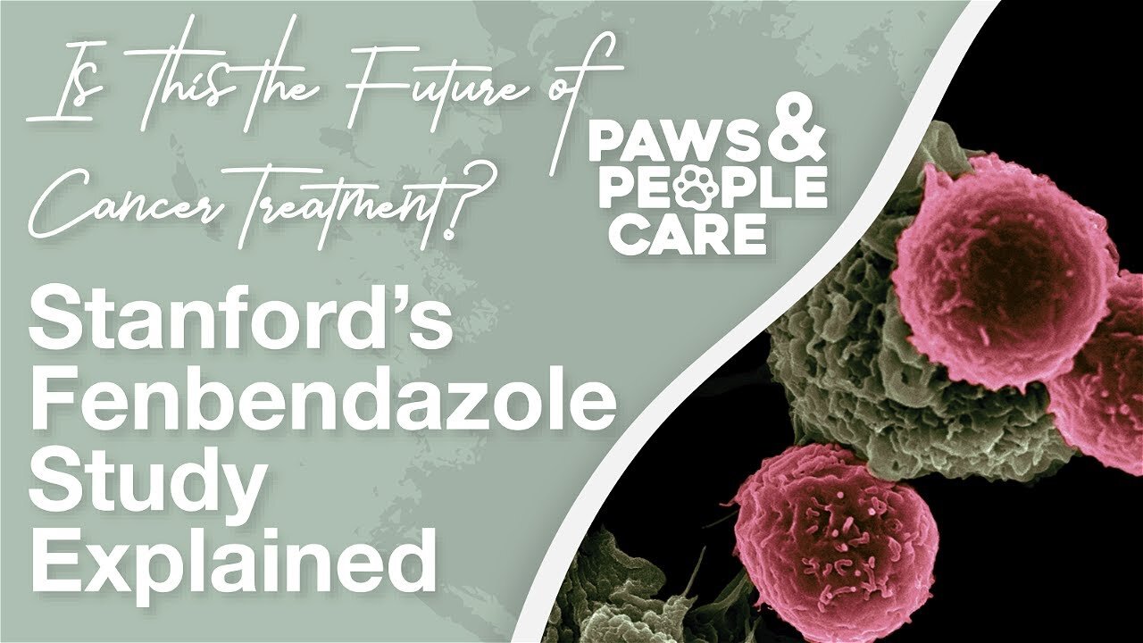 Is This the Future of Cancer Treatment? Stanford’s Fenbendazole Study Explained