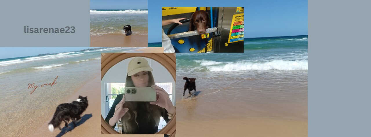 Petcare my week - Sunshine coast