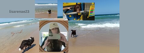 Petcare my week - Sunshine coast