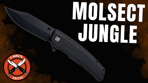 Molsect Jungle Bowie Review 🌲🪓 A Closer Look at an Unusual Blade